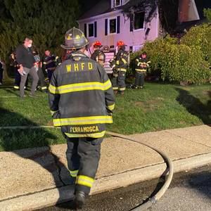 Meet your Posher, Joey